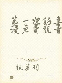 第一次的妻子动漫免费观看全集完整版下载封面