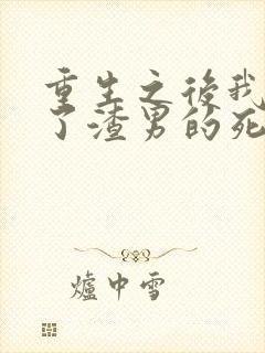 重生之后我嫁给了渣男的死对头短剧