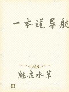 一本道导航封面