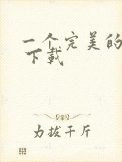一个完美的结局 下载