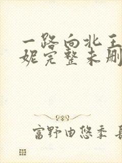 一路向北王李丹妮完整未删减版