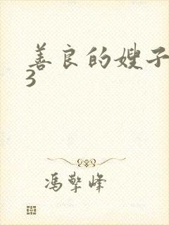 善良的嫂子中文3