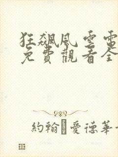 狂飙风云电视剧免费观看全集