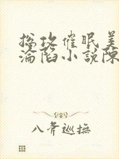 总攻催眠美人的沦陷小说陈楚敬封面