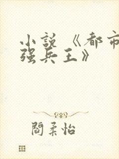 小说 《都市最强兵王》