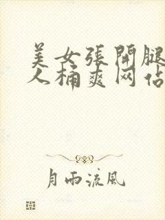 美女张开腿让男人桶爽网站