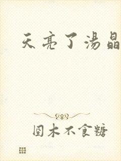 天亮了汤晶锦封面