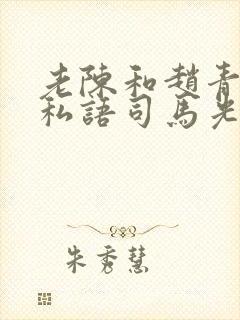 老陈和赵青窃窃私语司马光