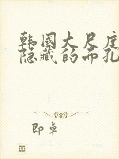 韩国大尺度电影隐藏的面孔在线观看封面