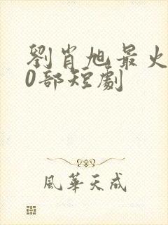 刘肖旭最火的10部短剧