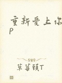 重新爱上你副cp