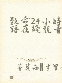 致命24小时国语在线观看高清