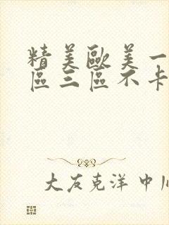 精美欧美一区二区三区不卡