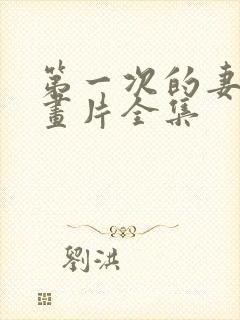 第一次的妻子动画片全集