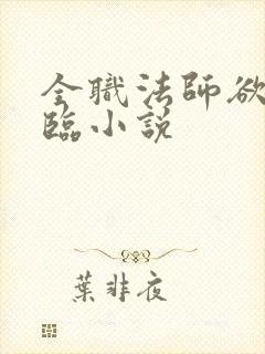 全职法师欲魔降临小说