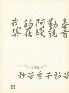 我的阿勒泰45集在线观看