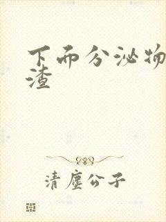 下面分泌物豆腐渣