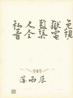 私人监狱免费观看全集电视剧