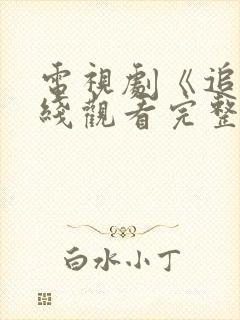 电视剧《追》在线观看完整版免费