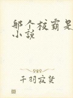 那个校霸是我的小说