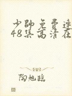 少帅免费连续剧48集高清在线观看