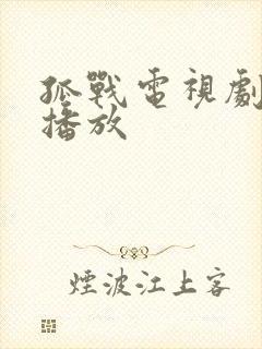 孤战电视剧全集播放封面