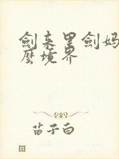 剑来里剑妈是什么境界