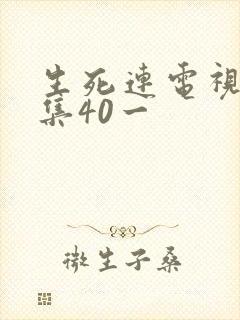 生死连电视剧全集40一封面