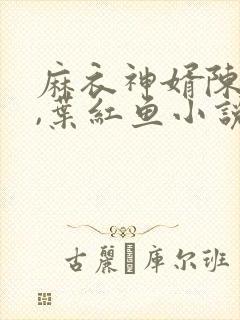 麻衣神婿陈黄皮,叶红鱼小说封面