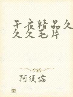 午夜精品久久久久久毛片