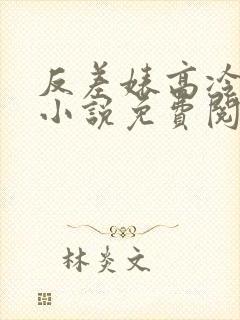 反差婊高冷御姐小说免费阅读