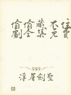 偷偷藏不住广播剧全集免费听