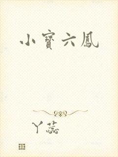 小宝六凤封面