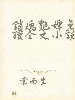 销魂艳婢免费阅读全文小说封面