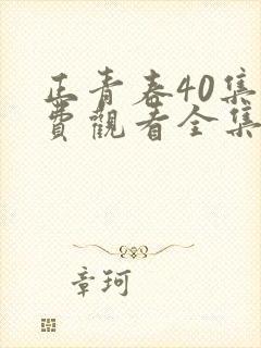正青春40集免费观看全集