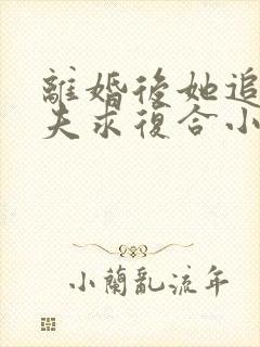 离婚后她追着前夫求复合小说