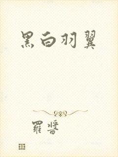黑白羽翼封面