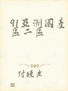 91亚洲国产一区二区