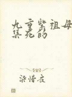 九重紫祖母第几集死的封面