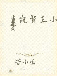 贞观贤王小说免费