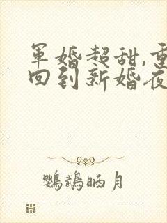 军婚超甜,重生回到新婚夜