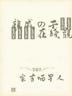 亲戚の子とお泊まりだか在线观看