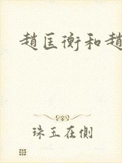 赵匡衡和赵匡胤