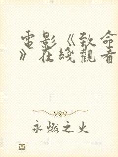 电影《致命黑兰》在线观看