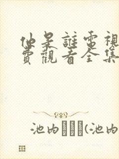 他是谁电视剧免费观看全集完整版封面