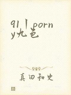 91丨porny九色