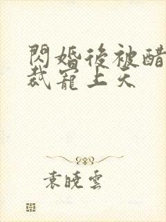 闪婚后被醋王总裁宠上天