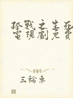 孤战之生死营救电视剧免费观看