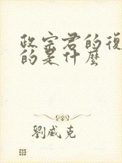 政宗君的复仇讲的是什么