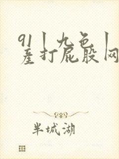 91丨九色丨国产打屁股网站
